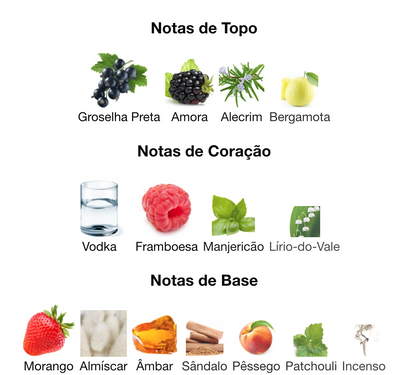 Vulcan Baie | French Avenue