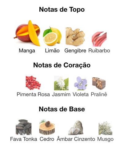 Vulcan Feu | French Avenue