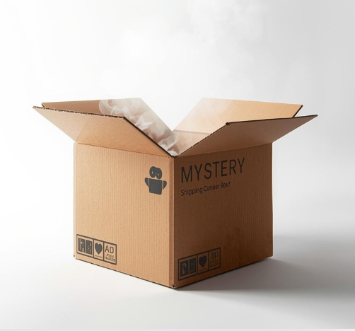 MYSTERY BOX FEMININA